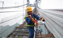 九九精品免费视频国产,国产生态下的影视盛宴