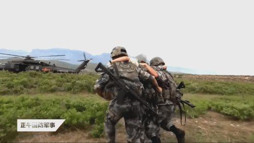 国产步枪照片素材视频,揭秘我国自主研制步枪的卓越性能