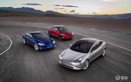 国产车特斯拉动画视频,未来智能出行新篇章