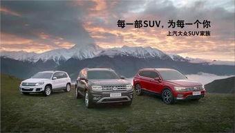 国产suv真实故事视频